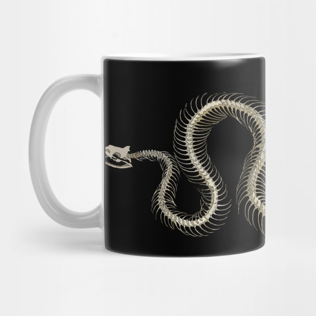 Snake Skeleton by UsuallyUnusual